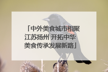 中外美食城市相聚江苏扬州 开拓中华美食传承发展新路