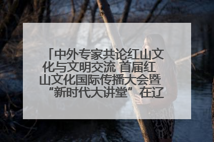 中外专家共论红山文化与文明交流 首届红山文化国际传播大会暨“新时代大讲堂”在辽宁朝阳举办