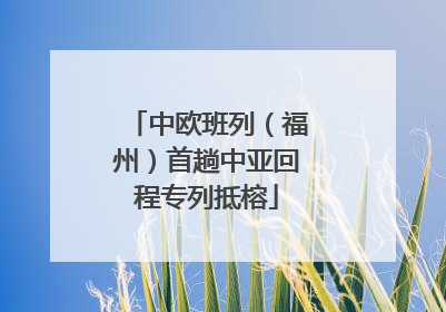 中欧班列（福州）首趟中亚回程专列抵榕