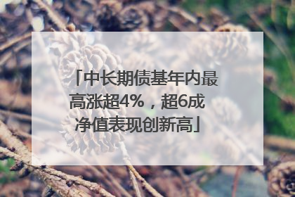 中长期债基年内最高涨超4%，超6成净值表现创新高