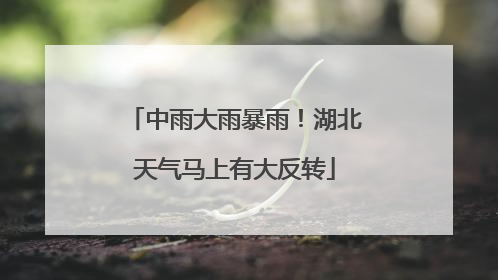中雨大雨暴雨！湖北天气马上有大反转