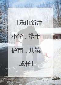 乐山新建小学：携手护苗，共筑成长