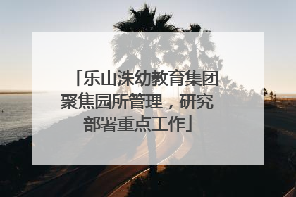 乐山洙幼教育集团聚焦园所管理，研究部署重点工作
