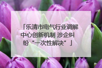 乐清市电气行业调解中心创新机制 涉企纠纷“一次性解决”