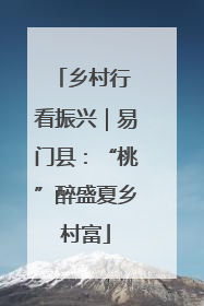 乡村行 看振兴｜易门县：“桃”醉盛夏乡村富