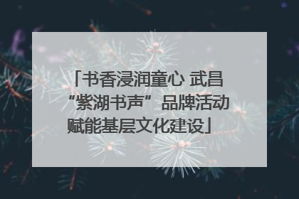 书香浸润童心 武昌“紫湖书声”品牌活动赋能基层文化建设