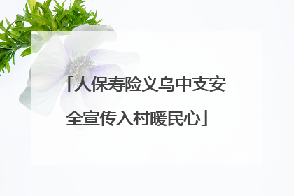 人保寿险义乌中支安全宣传入村暖民心