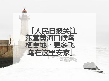 人民日报关注东营黄河口候鸟栖息地：更多飞鸟在这里安家