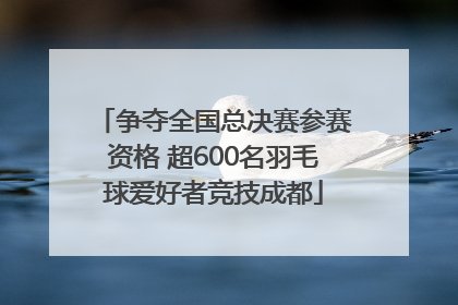 争夺全国总决赛参赛资格 超600名羽毛球爱好者竞技成都