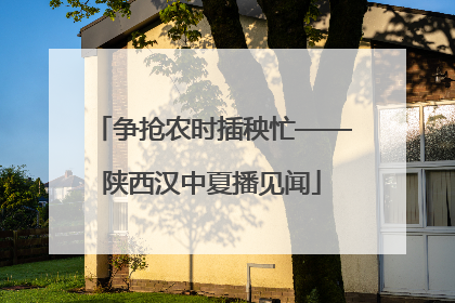 争抢农时插秧忙——陕西汉中夏播见闻