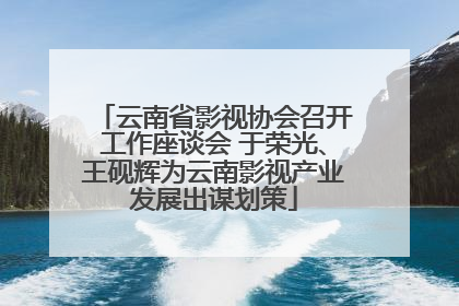 云南省影视协会召开工作座谈会 于荣光、王砚辉为云南影视产业发展出谋划策