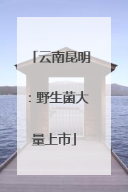 云南昆明：野生菌大量上市