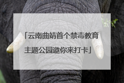 云南曲靖首个禁毒教育主题公园邀你来打卡