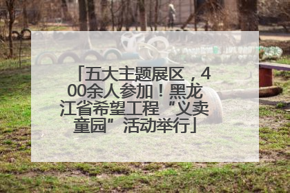 五大主题展区，400余人参加！黑龙江省希望工程“义卖童园”活动举行