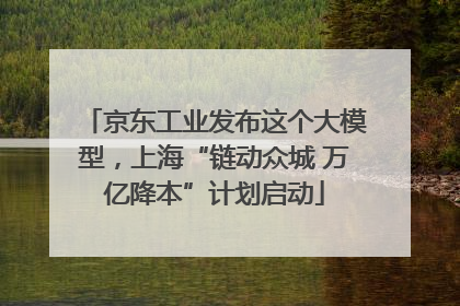 京东工业发布这个大模型，上海“链动众城 万亿降本”计划启动