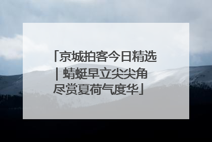 京城拍客今日精选｜蜻蜓早立尖尖角 尽赏夏荷气度华