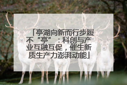 亭湖向新而行步履不“亭”：科创与产业互融互促，催生新质生产力澎湃动能