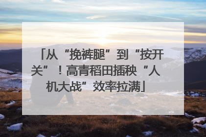 从“挽裤腿”到“按开关”！高青稻田插秧“人机大战”效率拉满