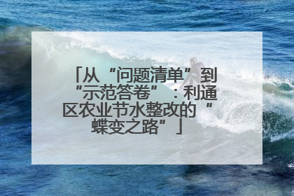 从“问题清单”到“示范答卷”：利通区农业节水整改的“蝶变之路”