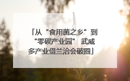 从“食用菌之乡”到“零碳产业园” 武威多产业借兰洽会破圈