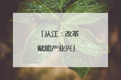 从江：改革赋能产业兴