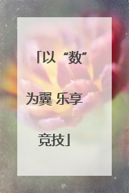 以“数”为翼 乐享竞技