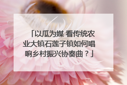 以瓜为媒 看传统农业大镇石莲子镇如何唱响乡村振兴协奏曲？