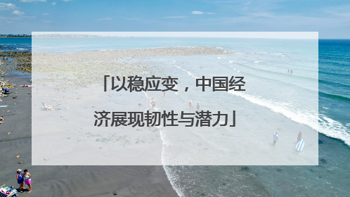 以稳应变，中国经济展现韧性与潜力