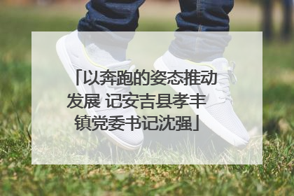 以奔跑的姿态推动发展 记安吉县孝丰镇党委书记沈强