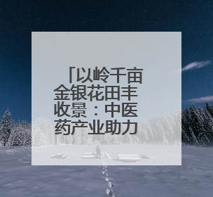 以岭千亩金银花田丰收景：中医药产业助力乡村振兴的生动写照