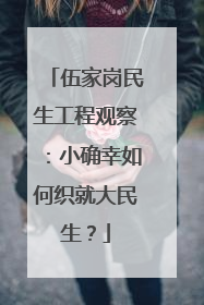 伍家岗民生工程观察：小确幸如何织就大民生？