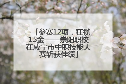 参赛12项，狂揽15金——崇阳职校在咸宁市中职技能大赛斩获佳绩