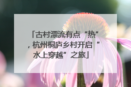 古村漂流有点“热”，杭州桐庐乡村开启“水上穿越”之旅