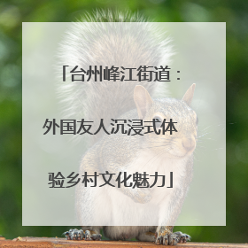 台州峰江街道：外国友人沉浸式体验乡村文化魅力