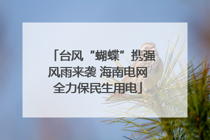 台风“蝴蝶”携强风雨来袭 海南电网全力保民生用电