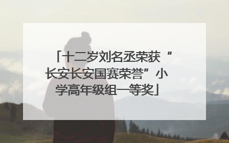十二岁刘名丞荣获“长安长安国赛荣誉”小学高年级组一等奖