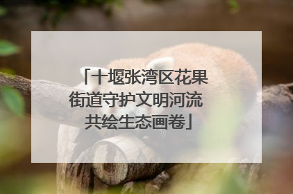 十堰张湾区花果街道守护文明河流 共绘生态画卷