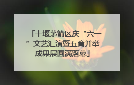 十堰茅箭区庆“六一”文艺汇演暨五育并举成果展圆满落幕