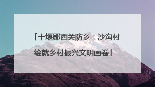 十堰郧西关防乡：沙沟村绘就乡村振兴文明画卷