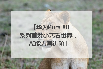 华为Pura 80系列首发小艺看世界，AI能力再进阶