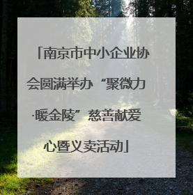 南京市中小企业协会圆满举办“聚微力·暖金陵”慈善献爱心暨义卖活动