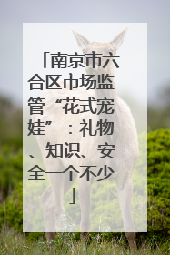 南京市六合区市场监管“花式宠娃”：礼物、知识、安全一个不少