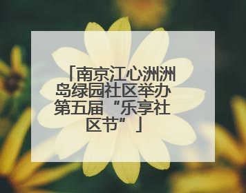 南京江心洲洲岛绿园社区举办第五届“乐享社区节”