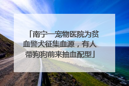 南宁一宠物医院为贫血警犬征集血源，有人带狗狗前来抽血配型