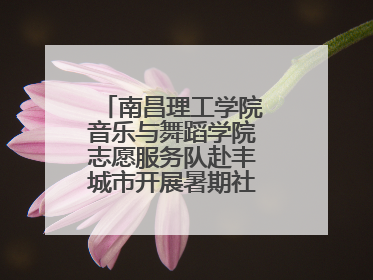 南昌理工学院音乐与舞蹈学院志愿服务队赴丰城市开展暑期社会实践活动