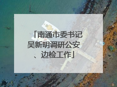 南通市委书记吴新明调研公安、边检工作