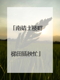 南靖土楼畔 梯田插秧忙