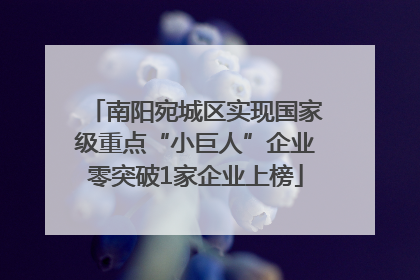南阳宛城区实现国家级重点“小巨人”企业零突破1家企业上榜