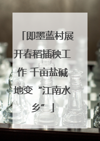 即墨蓝村展开春稻插秧工作 千亩盐碱地变“江南水乡”