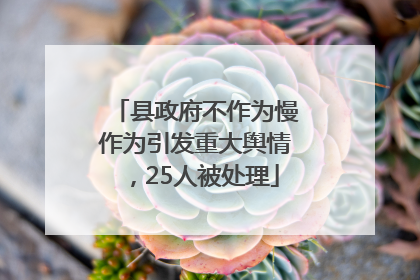 县政府不作为慢作为引发重大舆情，25人被处理